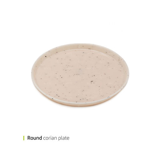 تصویر از سینی کورین گرد 32 سانت وایت پلیت کد 0252m یک عددی