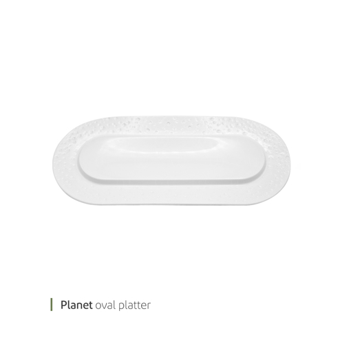 تصویر از دیس اوال پلنت 46 سانت وایت پلیت کد 91.27396 یک عددی