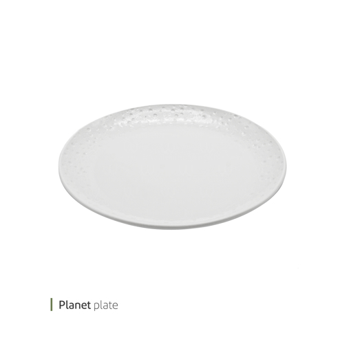 تصویر از بشقاب پلنت 25 سانت وایت پلیت کد 91.27775 یک عددی