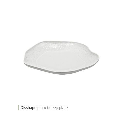 تصویر از بشقاب گود دیسشیپ پلنت 22 سانت وایت پلیت کد 91.27778 یک عددی