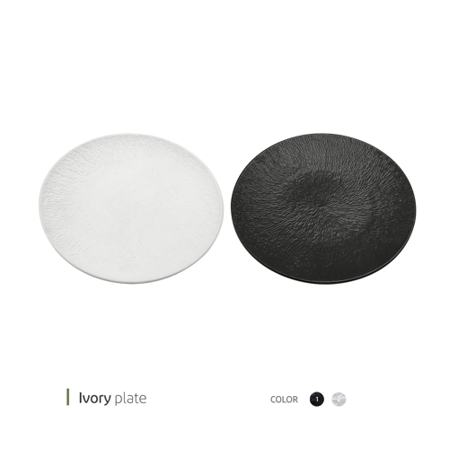 تصویر از پیش دستی ایووری 19 سانت وایت پلیت کد 91.10078 یک عددی